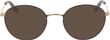 Product with lens tinting