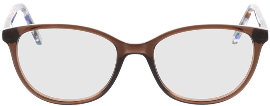 Picture of glasses model Dakota-braun-transparent in angle 0