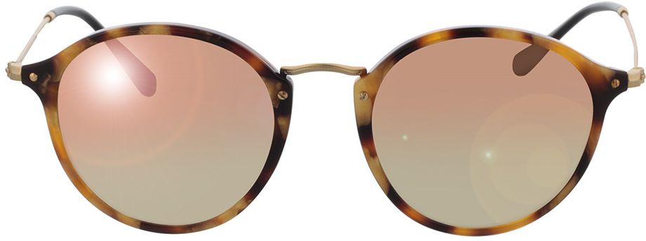 Picture of glasses model Round Fleck RB2447 11607O 52-21 in angle 0