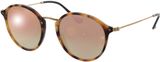 Picture of glasses model Ray-Ban Round Fleck RB2447 11607O 52-21