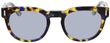 Product with lens tinting