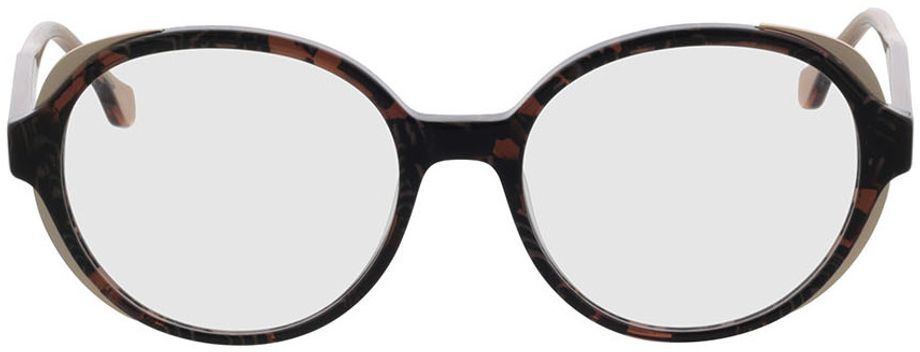 Picture of glasses model Monaco - brown in angle 0