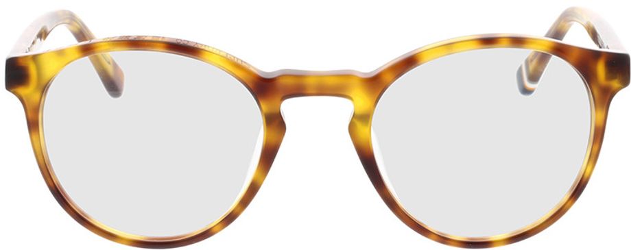 Picture of glasses model SDO Goro 102 48-21 in angle 0