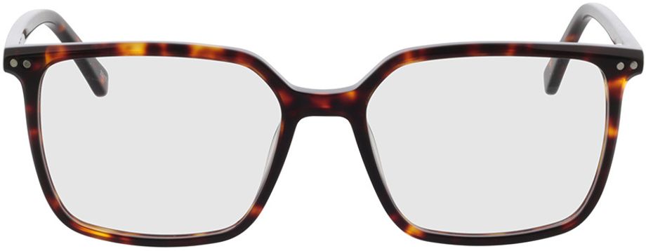 Picture of glasses model Lewis - havanna in angle 0