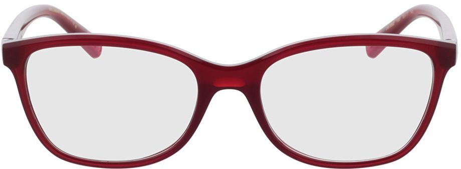 Picture of glasses model DG5092 1551 53-17 in angle 0
