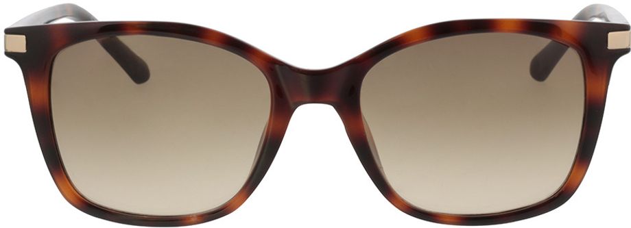 Picture of glasses model Calvin Klein CK19527S 240 54-19 in angle 0