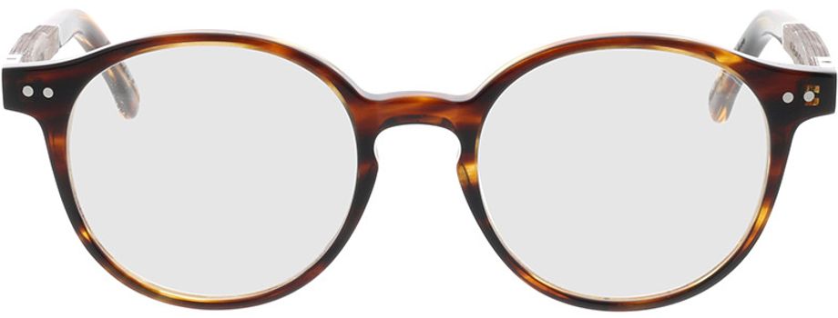 Picture of glasses model Wood Fellas Optical Solln Premium ebony/havana 49-19 in angle 0