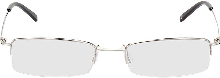 Picture of glasses model Exeter zilver in angle 0