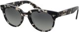Picture of glasses model RB2199 133371 52-22