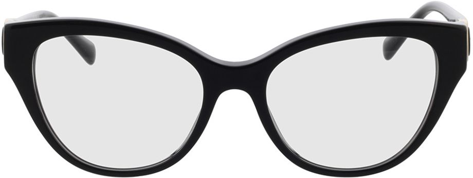 Picture of glasses model Emporio Armani EA3212 5017 52-17 in angle 0