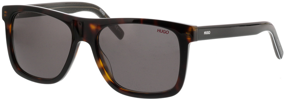 Picture of glasses model Hugo HG 1009/S 086 IR 54-17