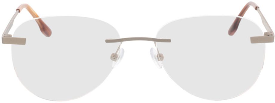 Picture of glasses model Nova-matt silber in angle 0