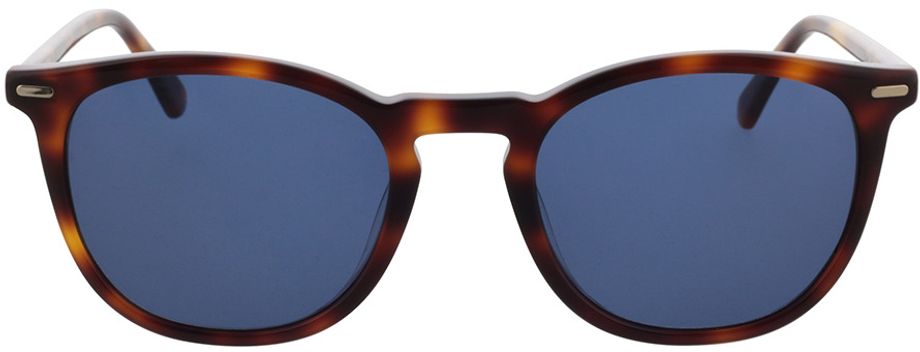 Picture of glasses model CK22533S 220 52-21 in angle 0