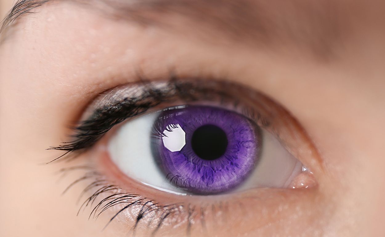 Lila Augen eine sehr seltene Augenfarbe Brille24