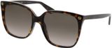 Gucci store 0022s sunglasses